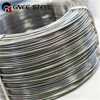 Incoloy DS Wire Rod
